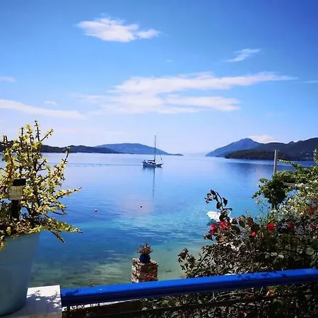Violeta Lefkada Vila *